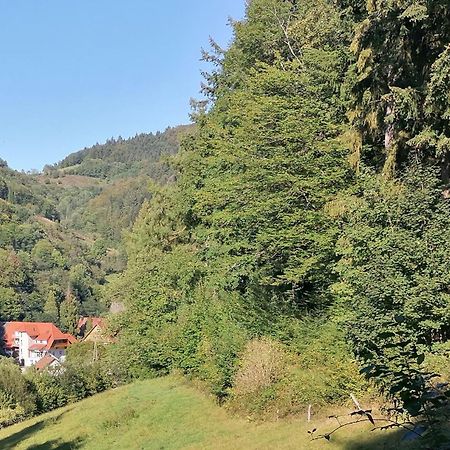 Huberhof Pfaffenbach Villa Gengenbach Exterior foto